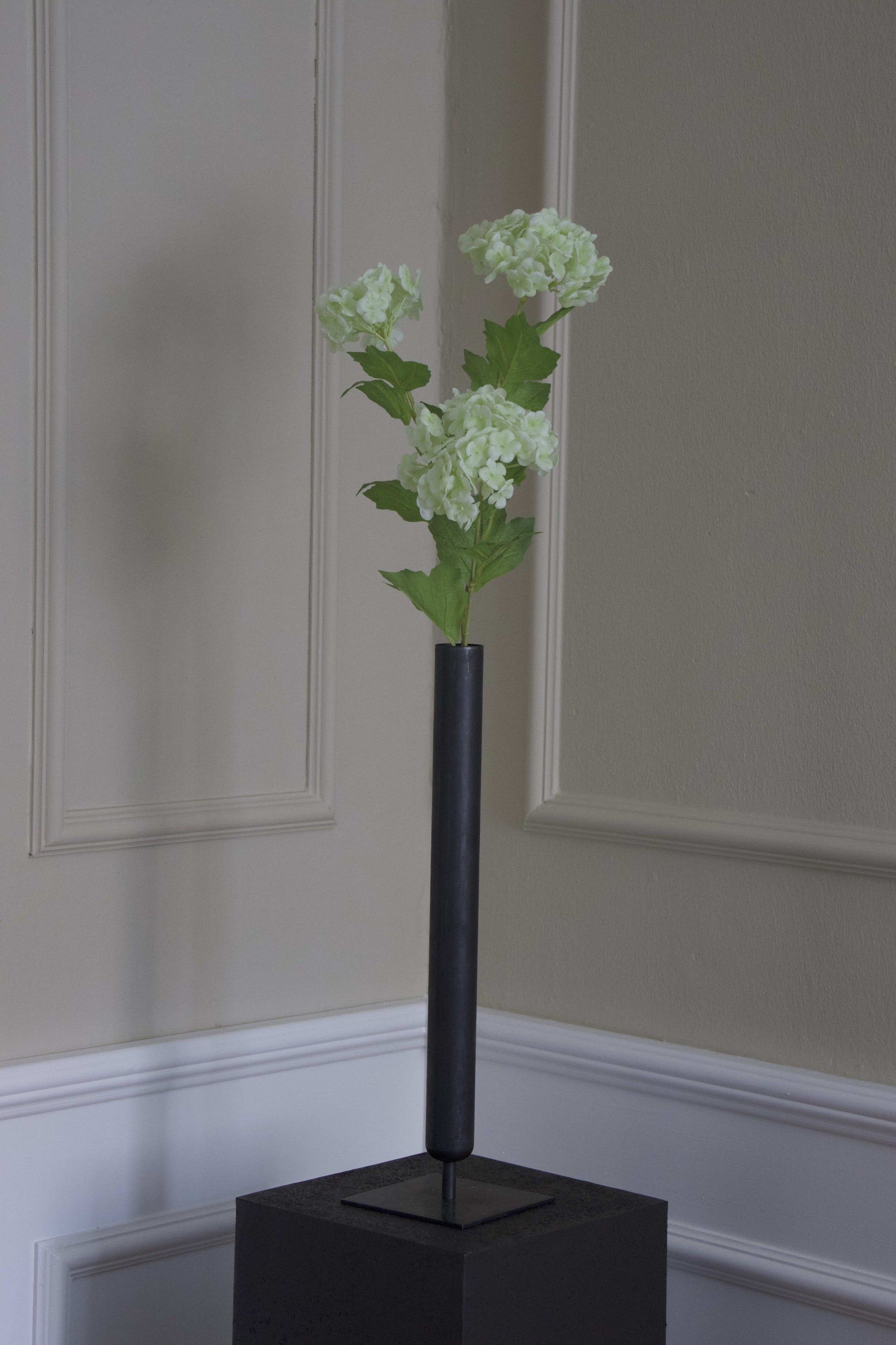 Snowball Hortensia