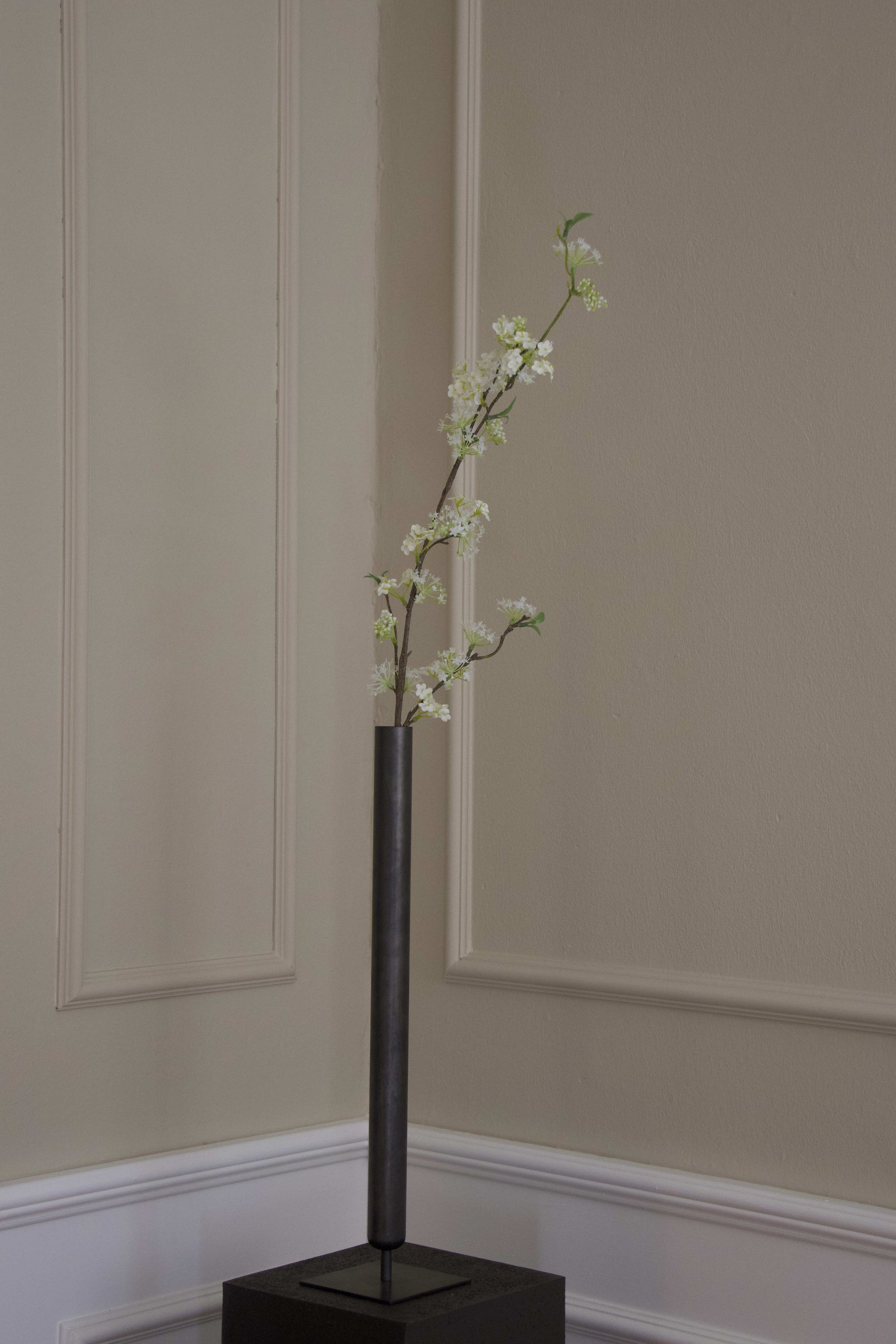 Snow Willow