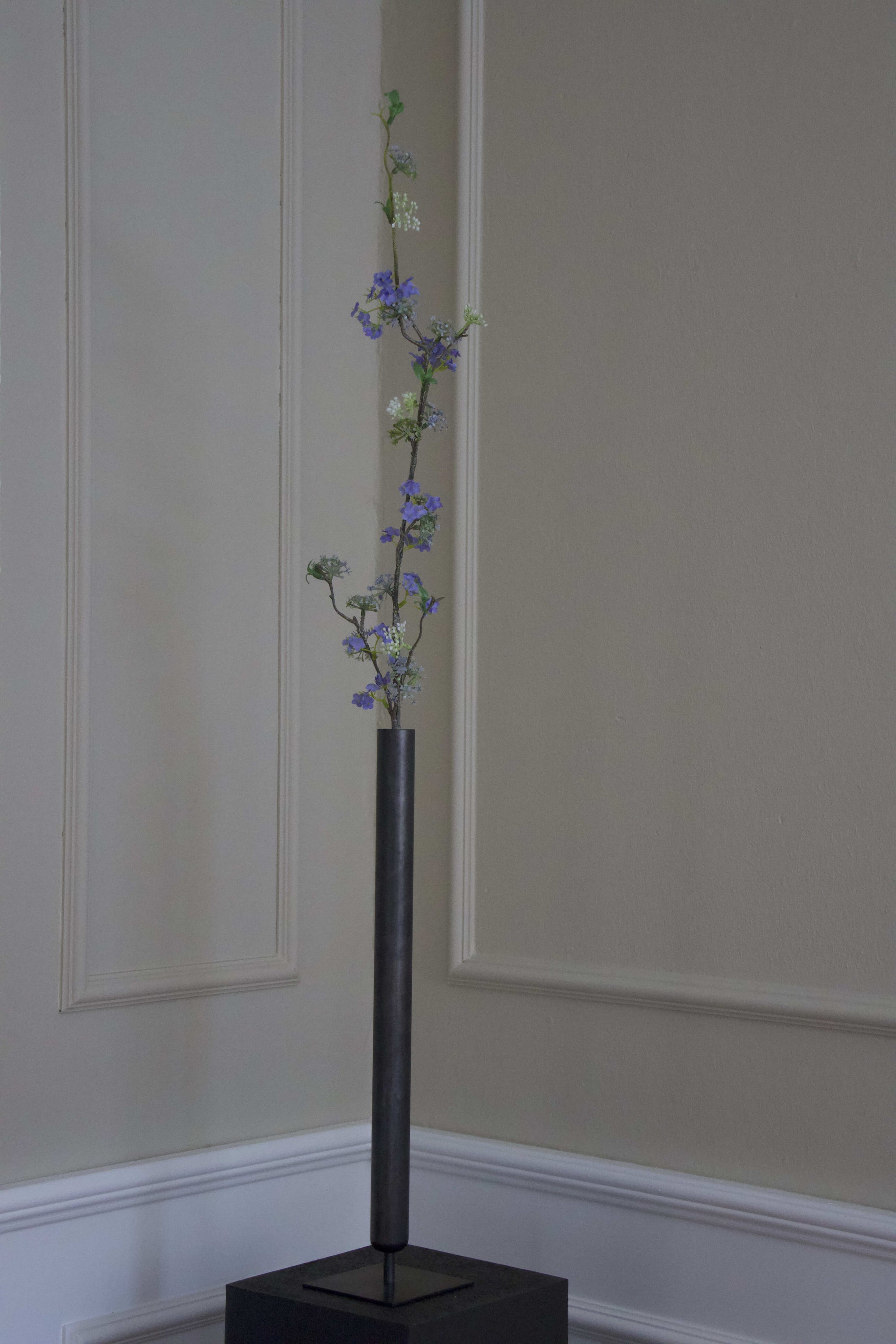 Snow Willow