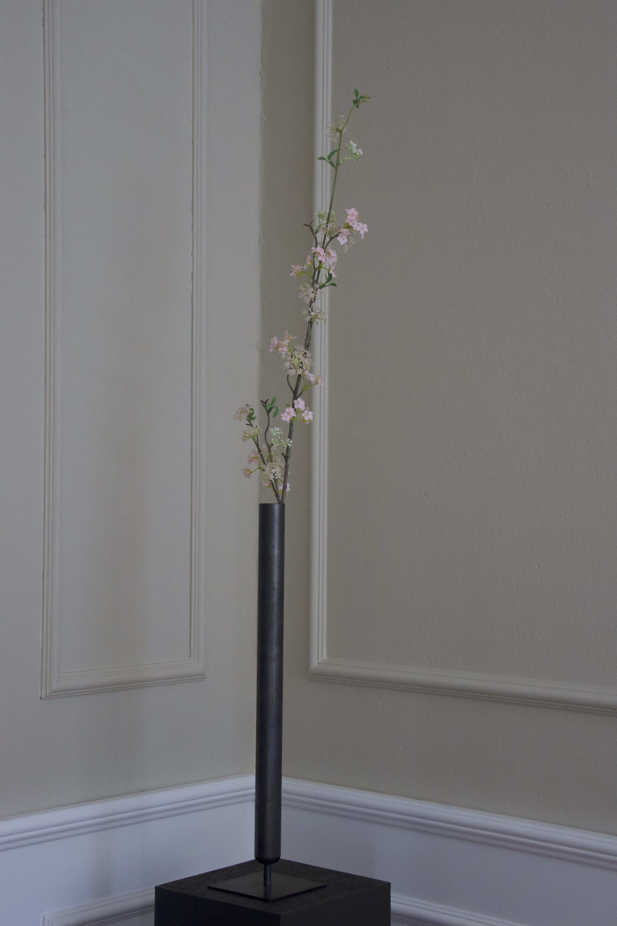 Snow Willow