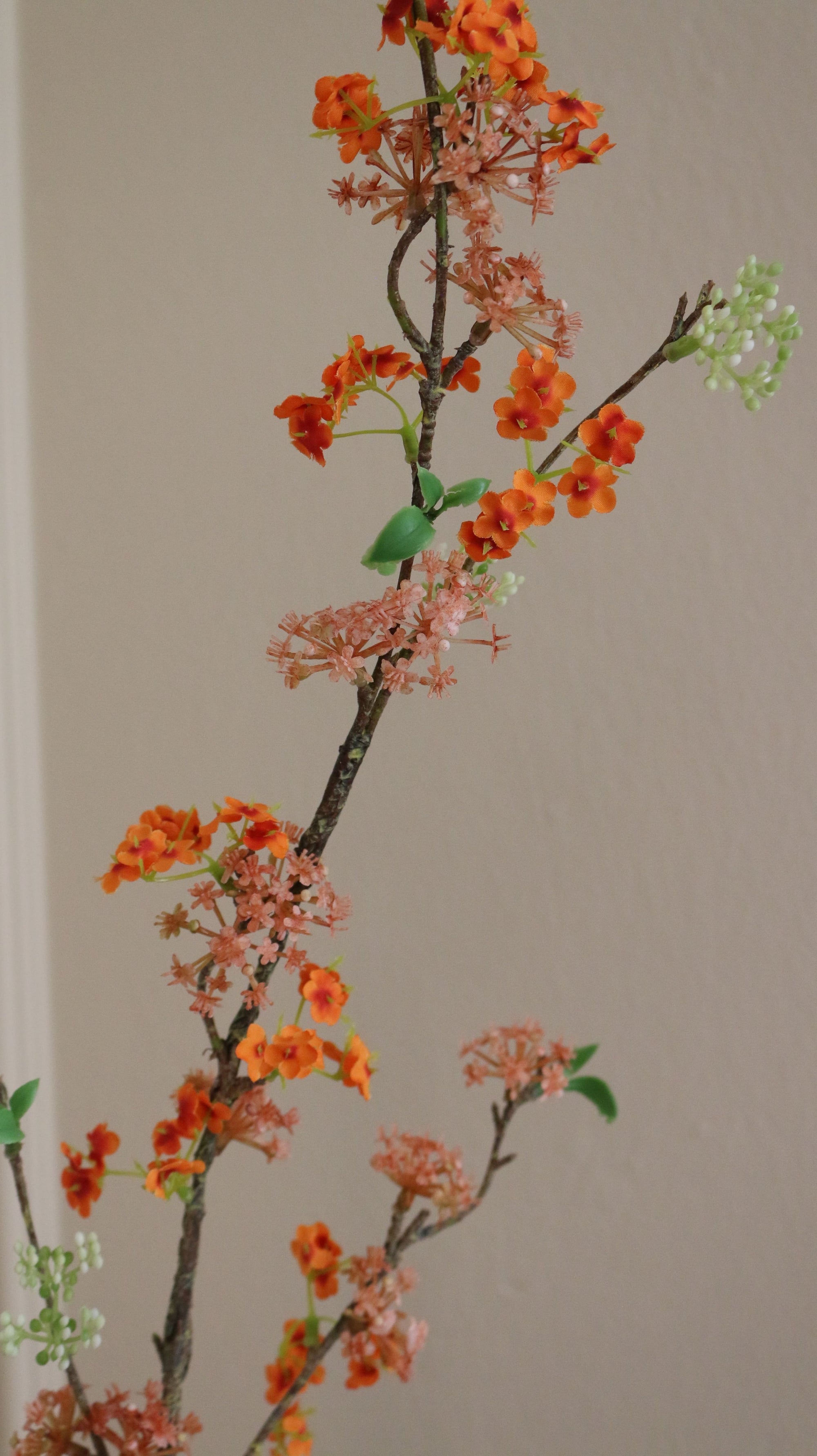 Snow Willow