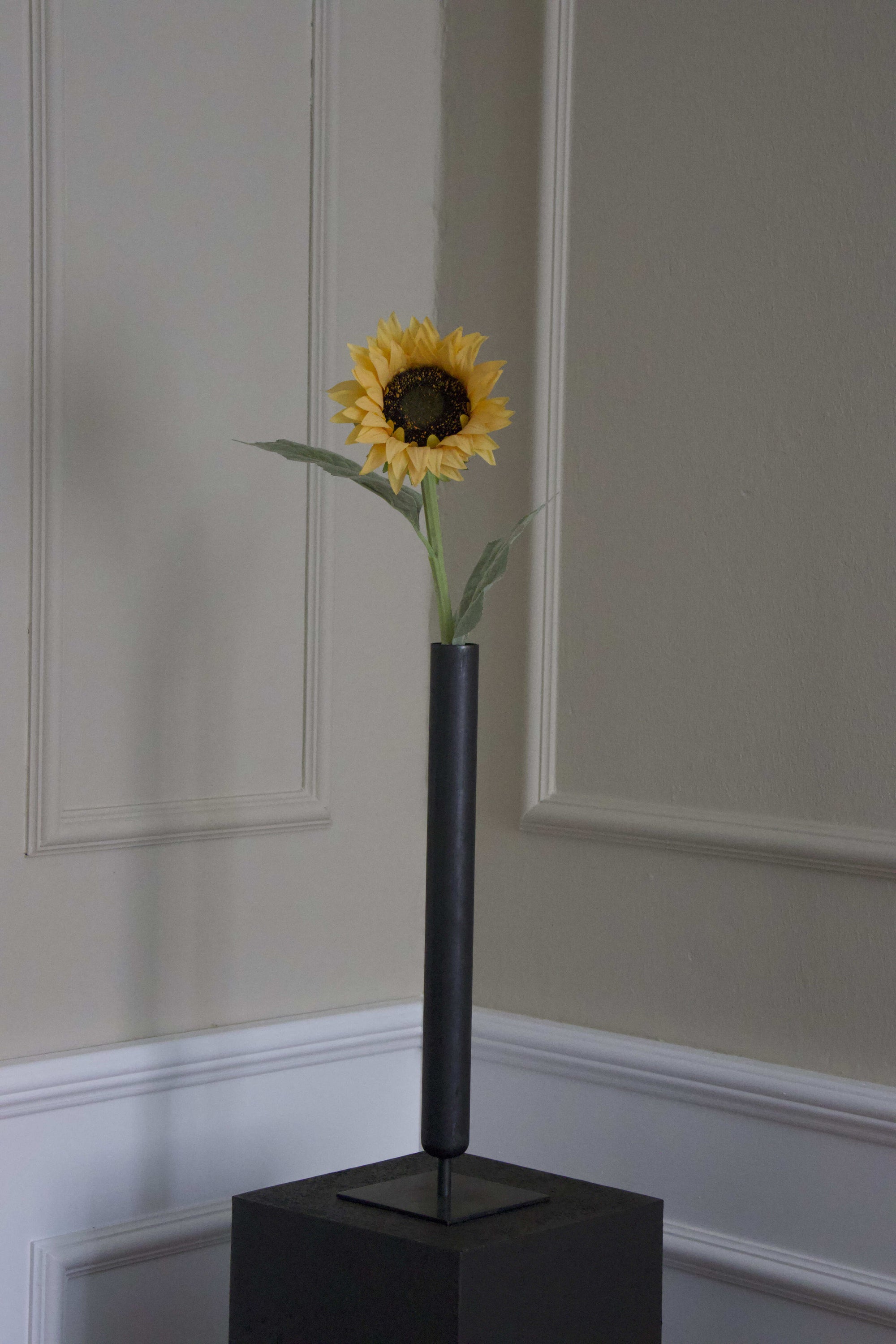 Solsikke