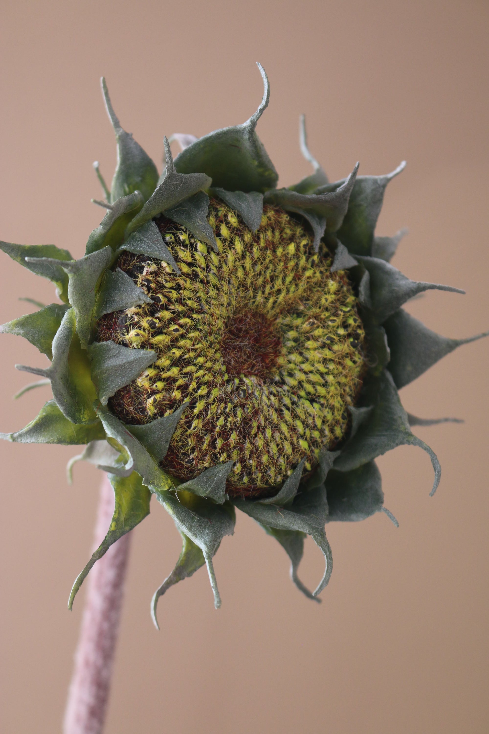 Kunstig Solsikke Knop
