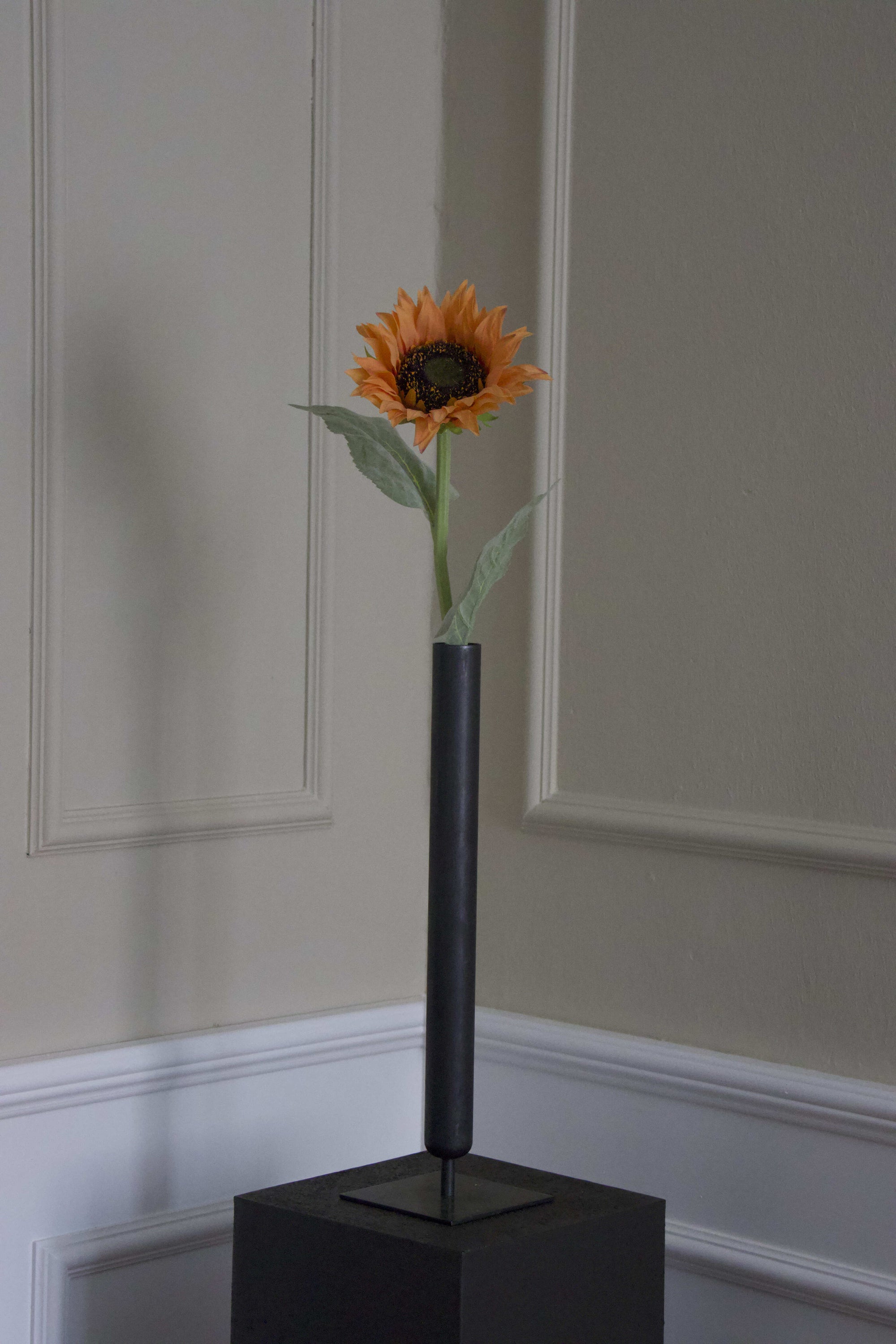 Solsikke
