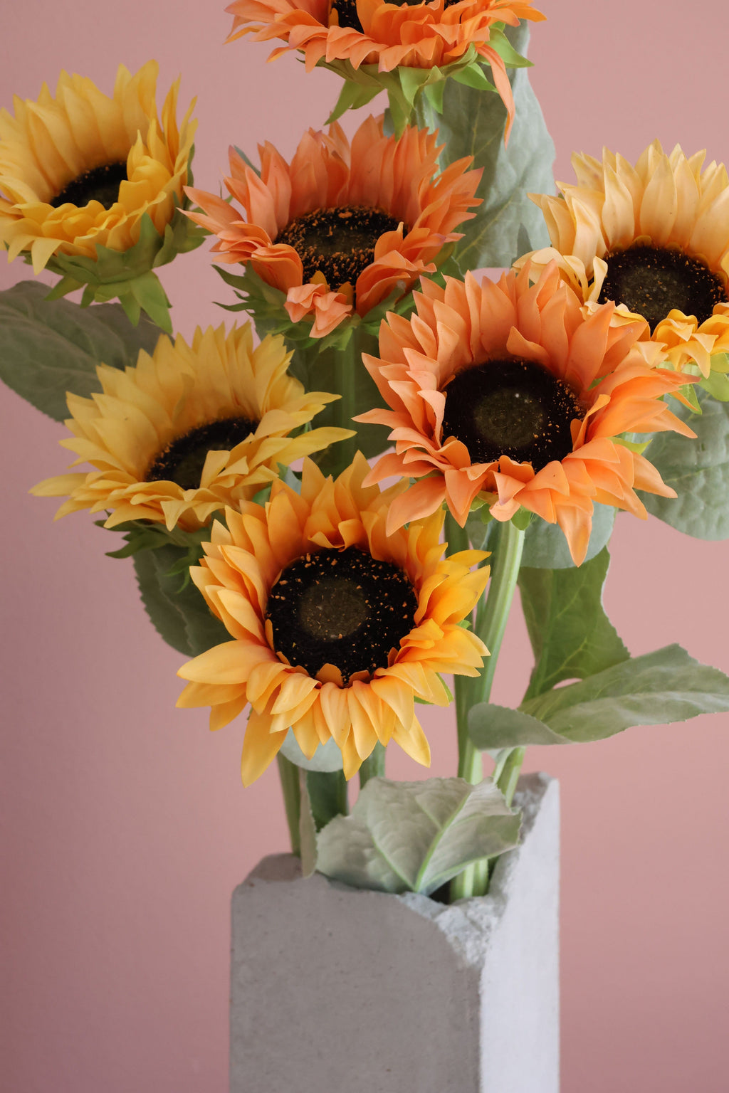 Sunflower Lover