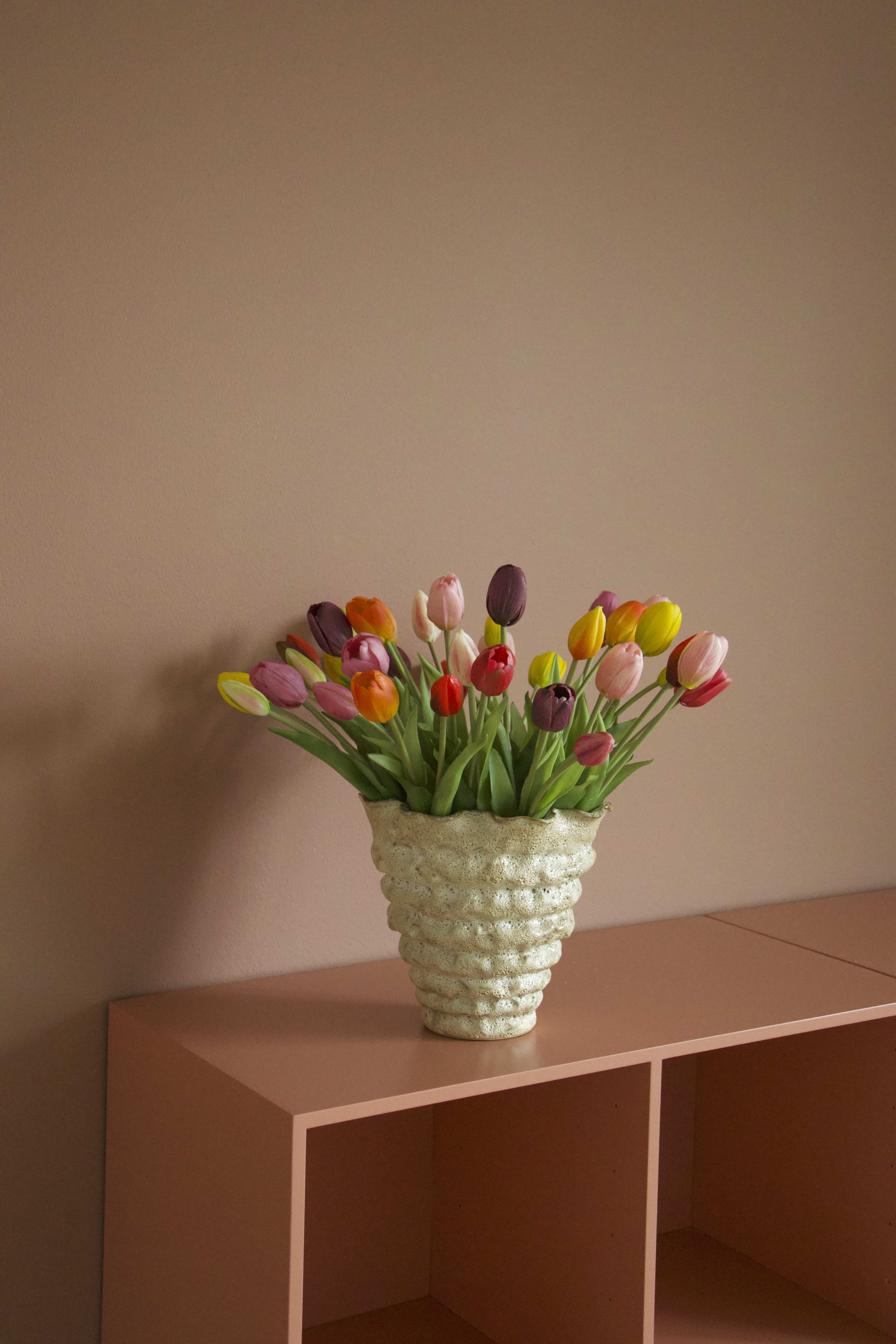 Tulip Lover