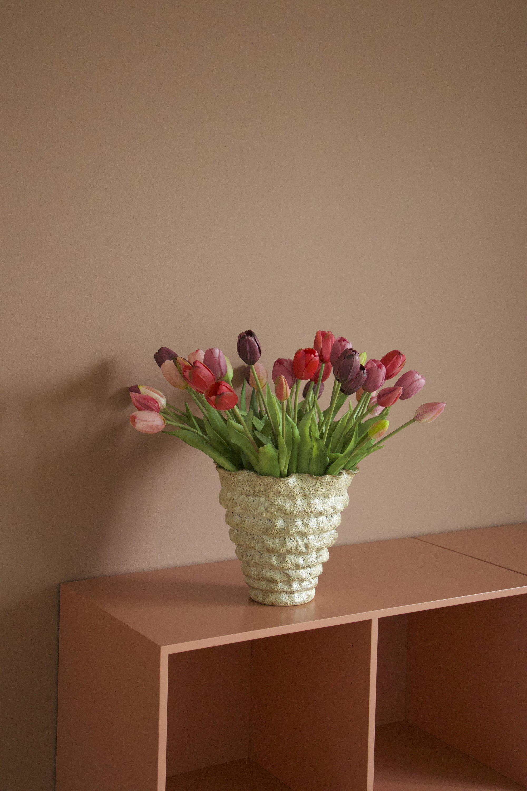 Tulip Lover